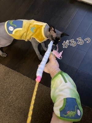 みんな612
