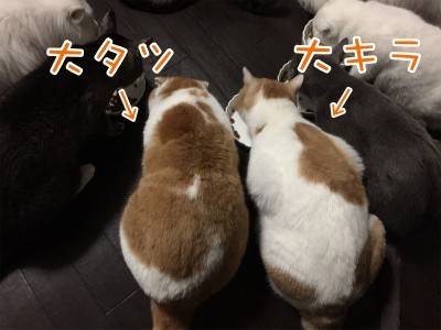みんな507