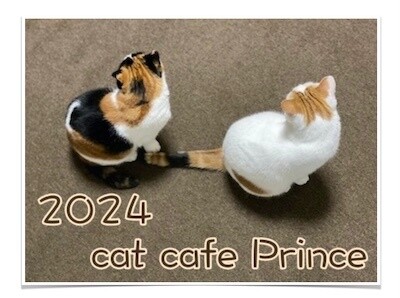 その他25