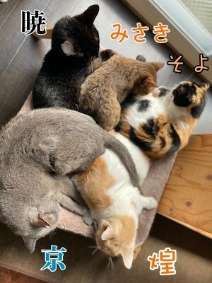 みんな1303