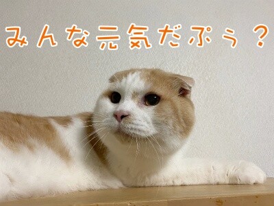 竜27