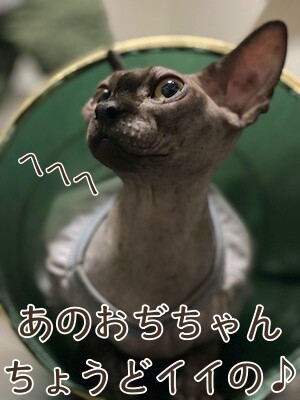 喜133