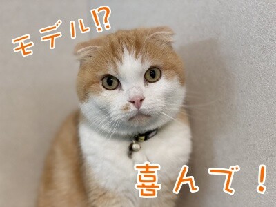 珠若621