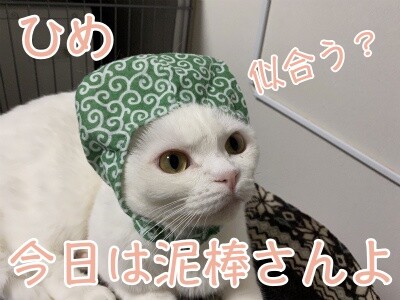 ひめ161