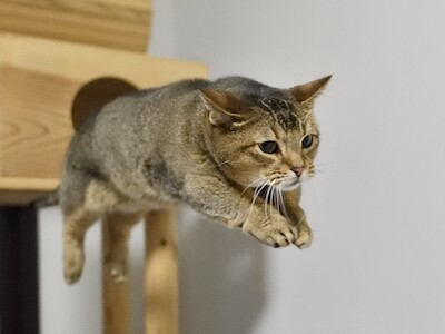 その他349
