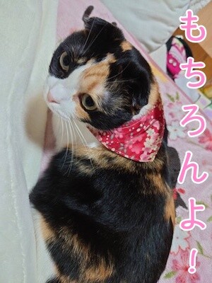 雫28