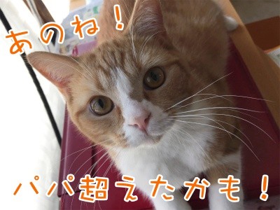 超2