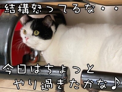 珠若712