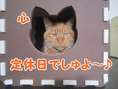 心 (26)