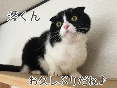 澪13