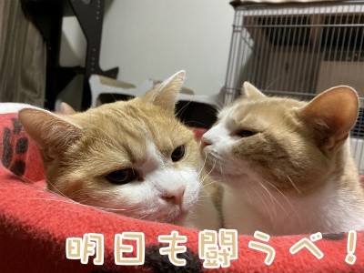 みんな1368