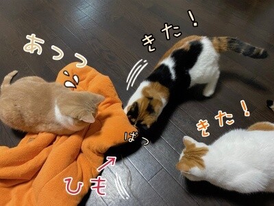 みんな2196