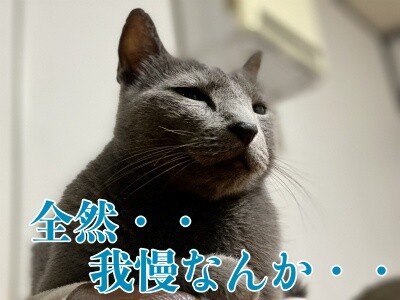 京361
