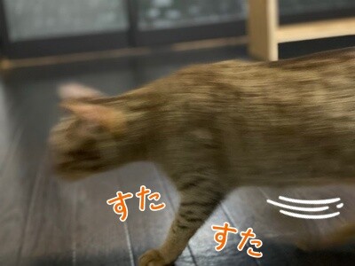 みさき291