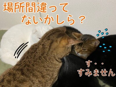 みんな2148