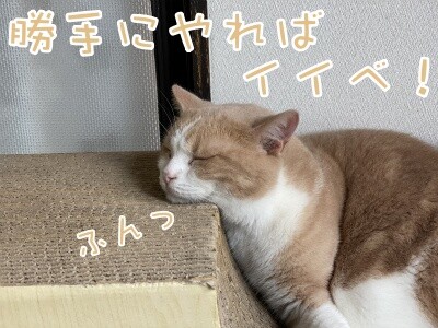 楓697
