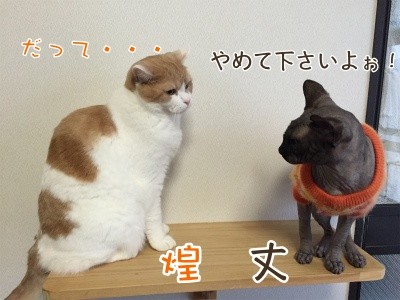 みんな127