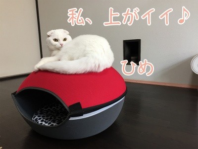 ひめ59