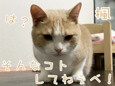 楓693