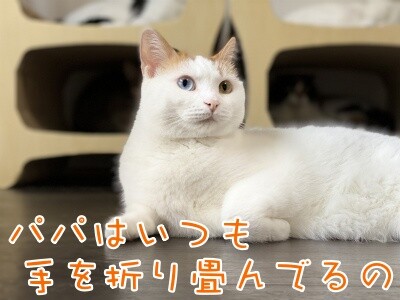 りよ198