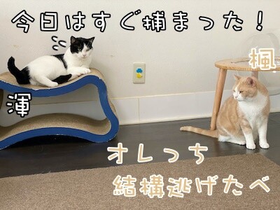 みんな297