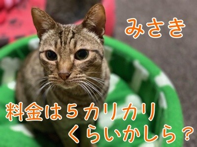 みさき278