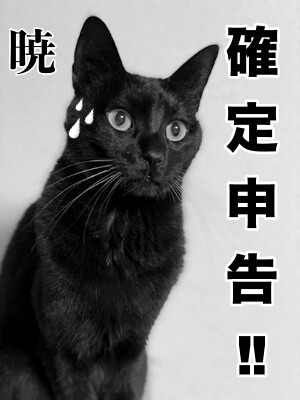暁100