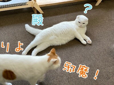みんな290