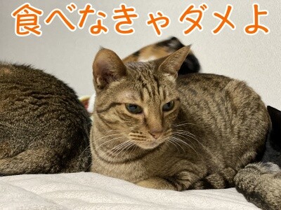 みさき196