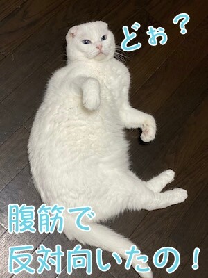殿109