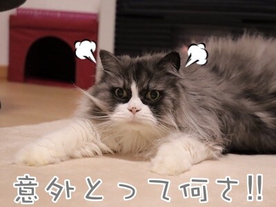 るひあ165