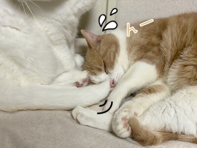 みんな56