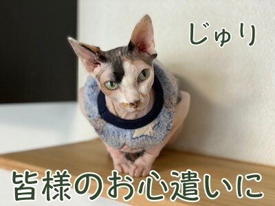 じゅり41