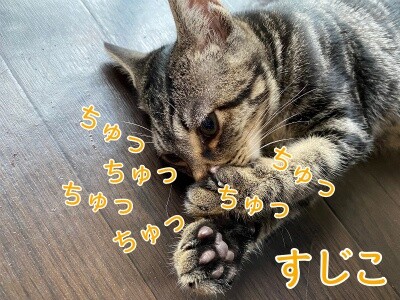 魚卵44