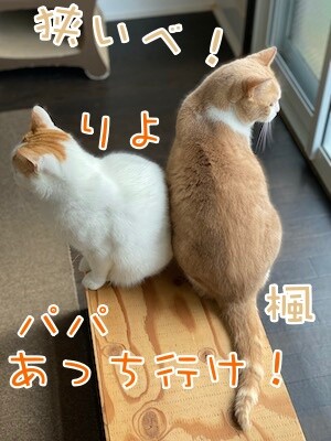 みんな618