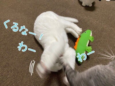 殿935