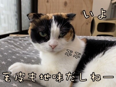 いよ342