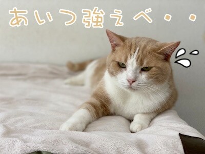 楓92