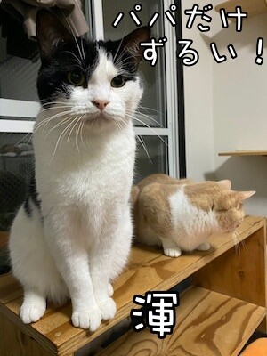 みんな2834