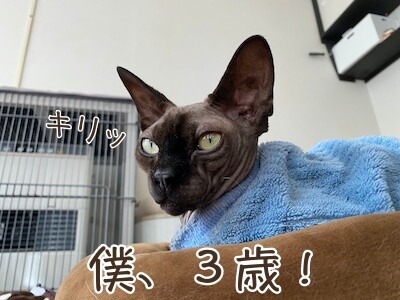 喜212
