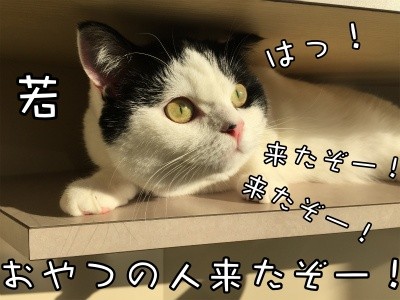 珠若182