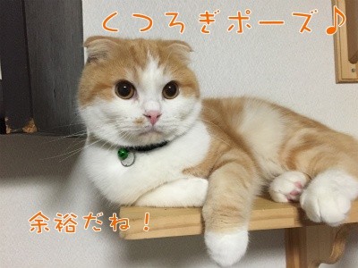 珠9