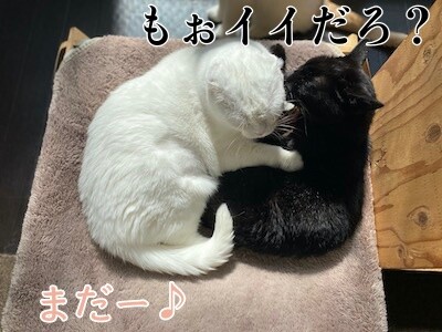 みんな1301