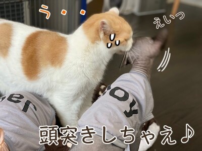 みんな1032