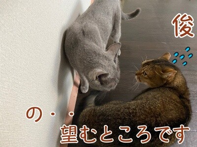みんな2083