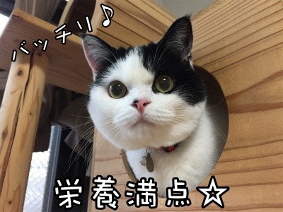 珠若203