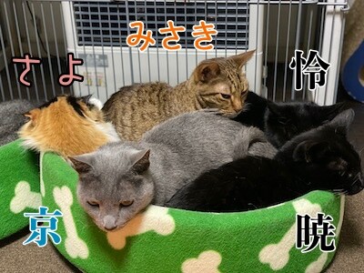 みんな303