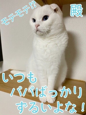 殿1010