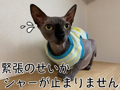 ビオ58