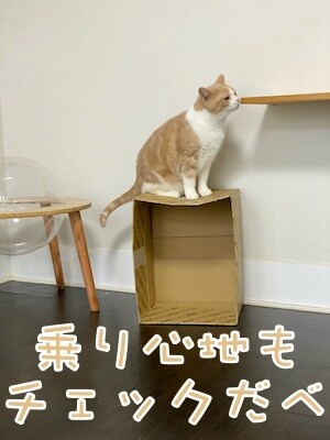 楓4